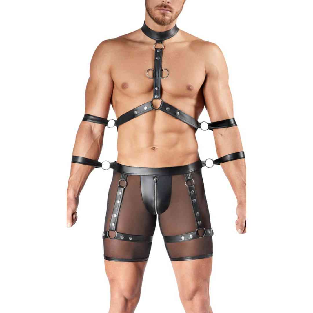 Harness-Pants und Brust-Harness