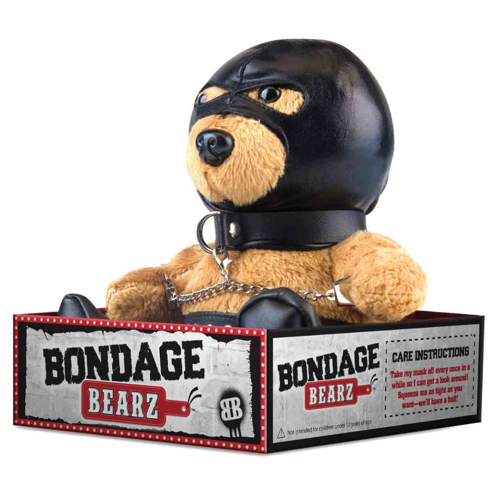 BDSM Teddy 
