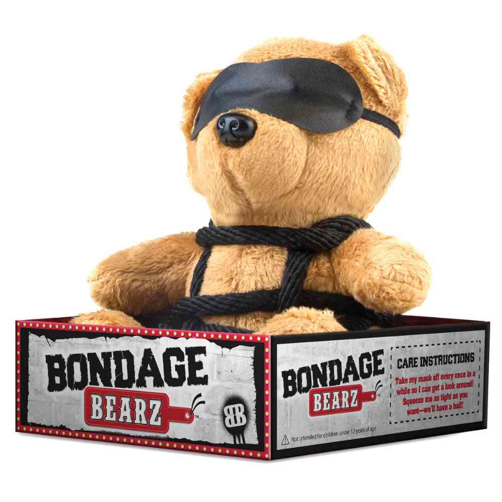 BDSM Teddy 