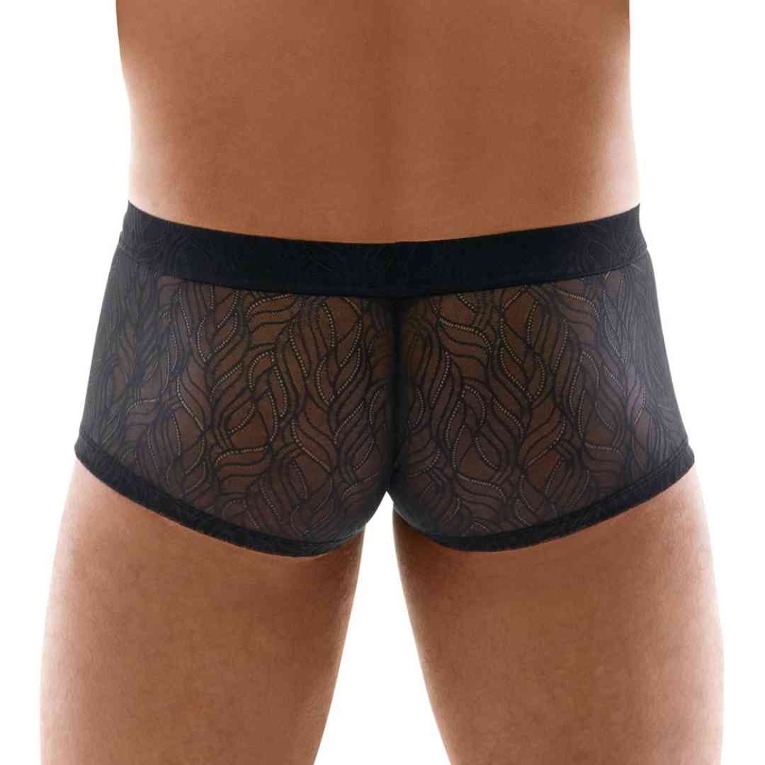 Transparente Pants aus Spitze
