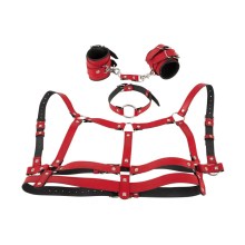4-teiliges Harness-Set in Leder-Optik 4-teiliges Harness-Set in Leder-Optik