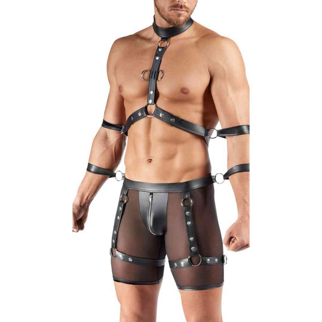 Harness-Pants und Brust-Harness