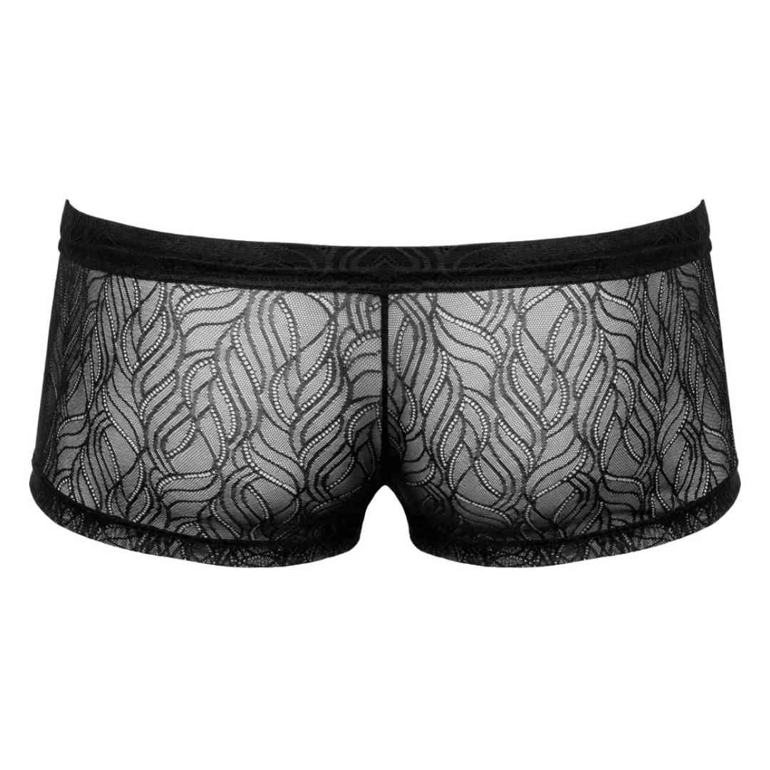 Transparente Pants aus Spitze