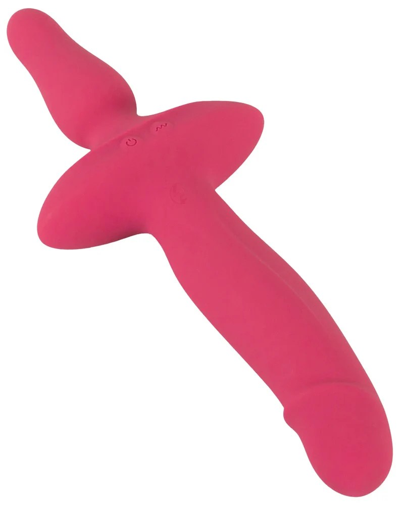 2in1 Vibrator plus Anal Plug