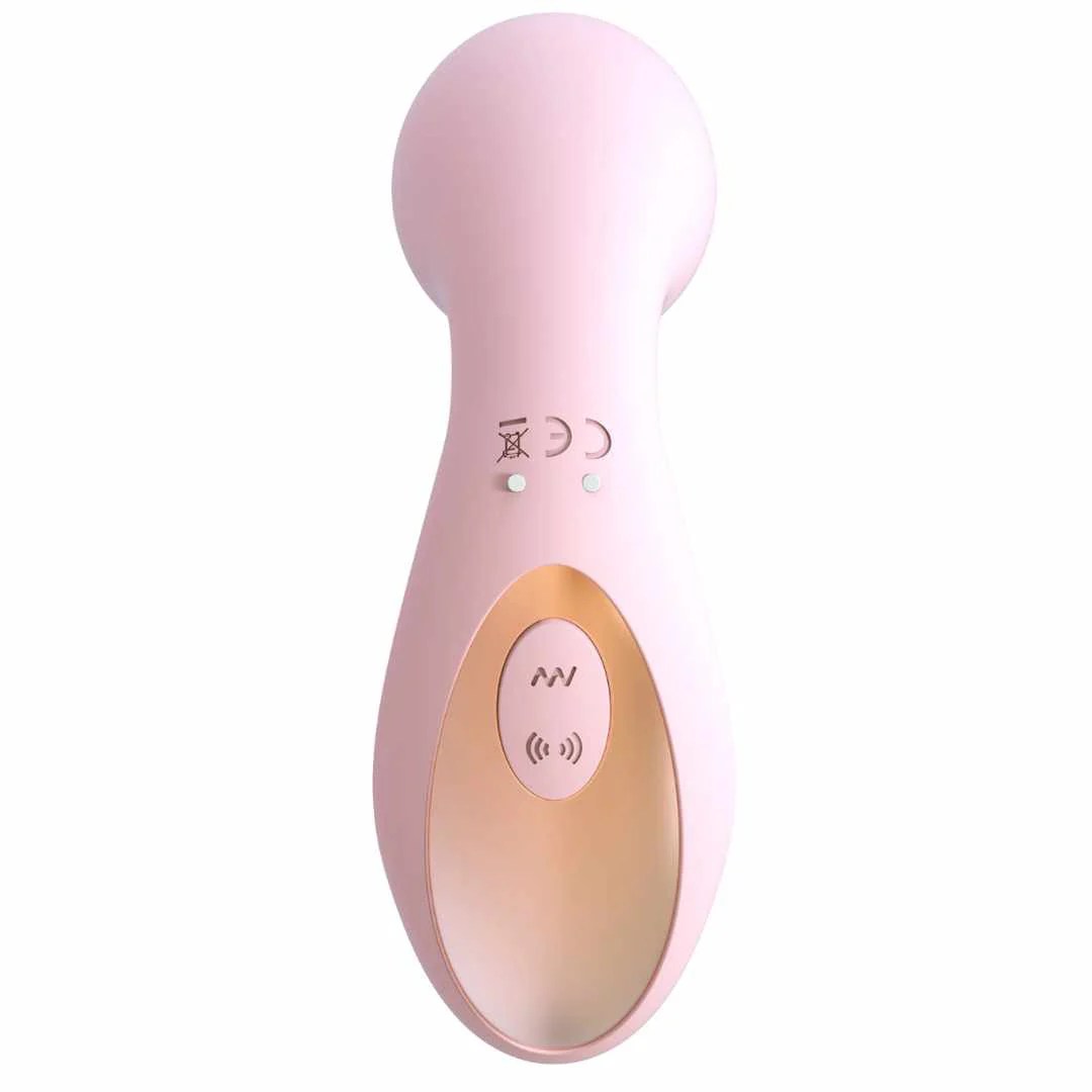 Druckwellenvibrator 