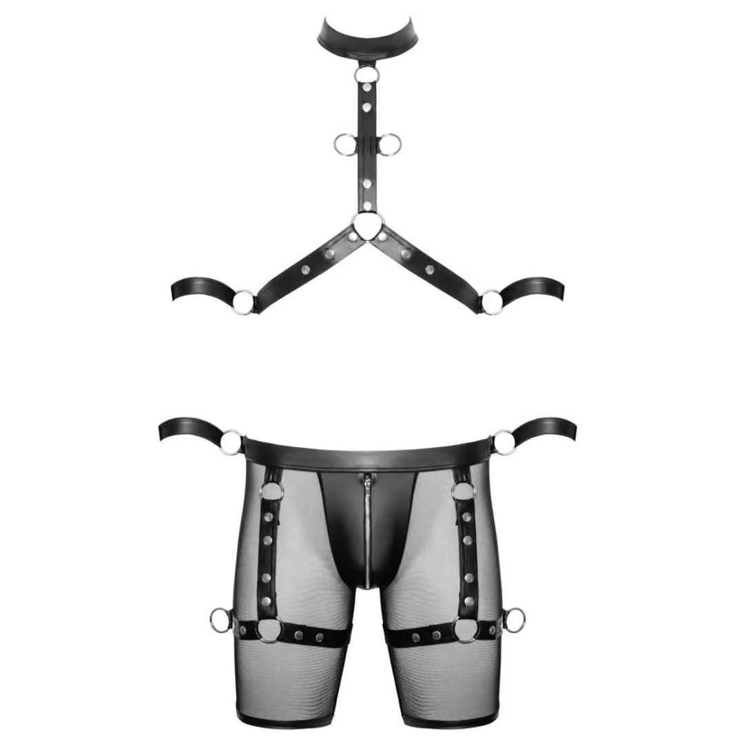 Harness-Pants und Brust-Harness