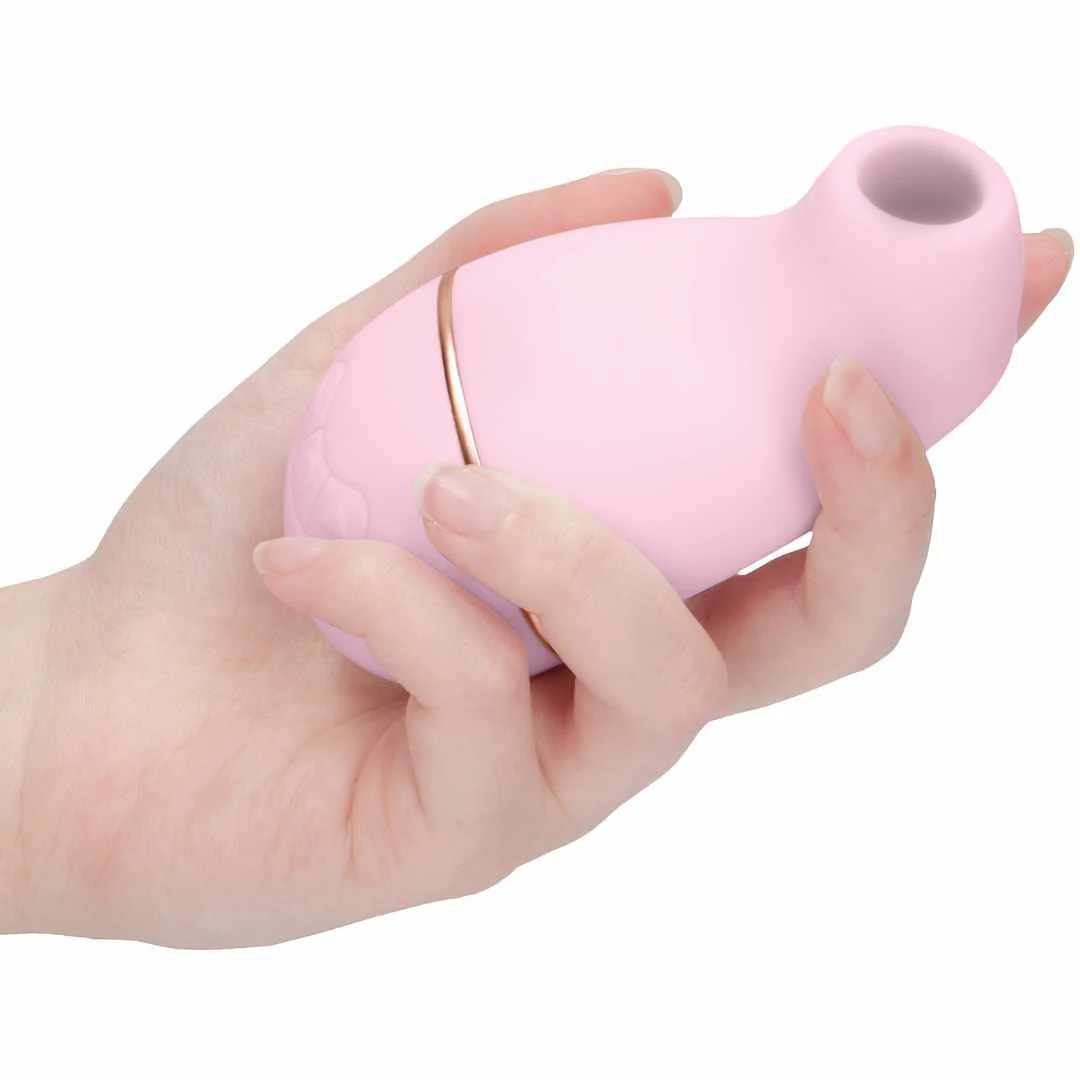 Druckwellenvibrator 