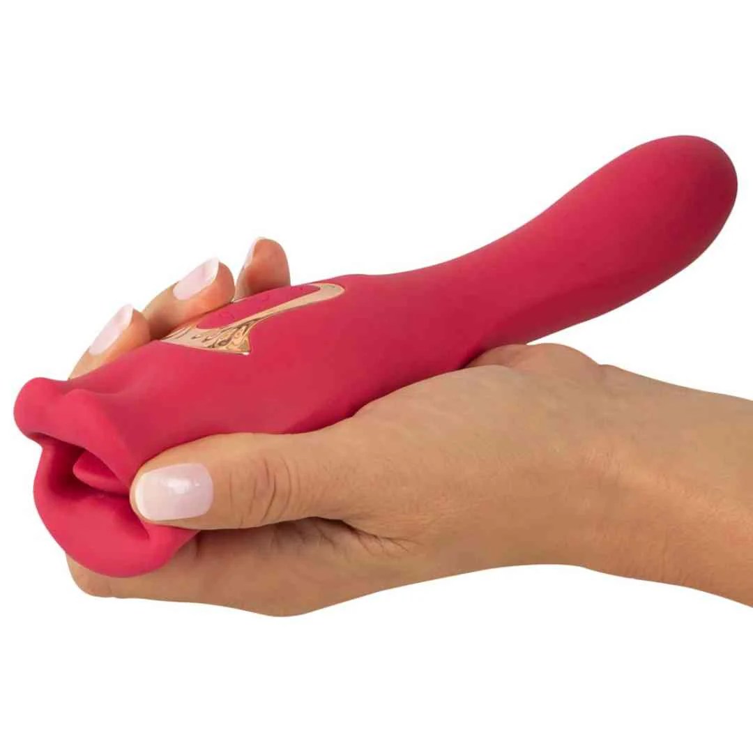 Vibrator 