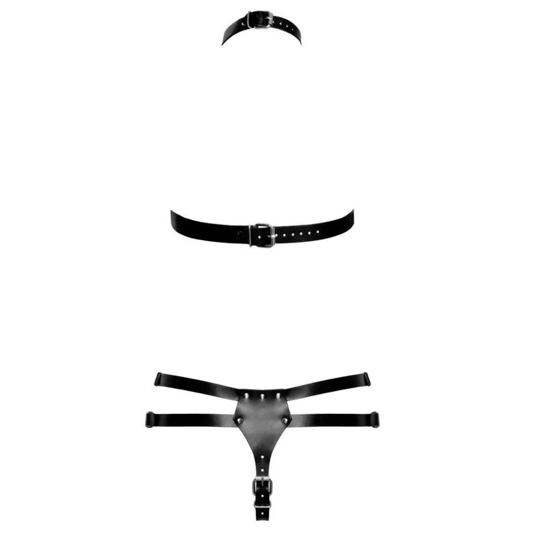 Harness-Set aus Leder