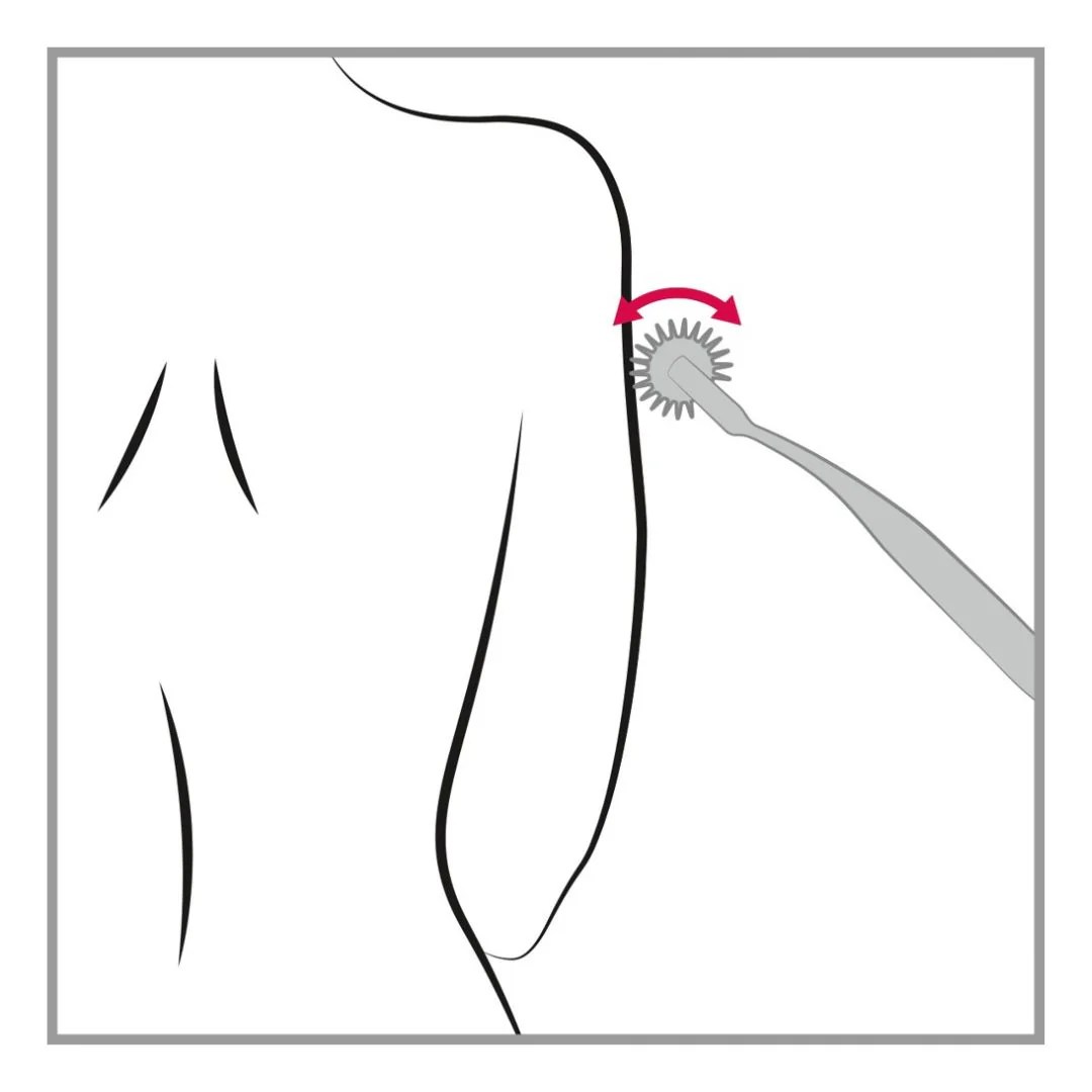Nervenrad „Pin Wheel“ aus verchromten Messing
