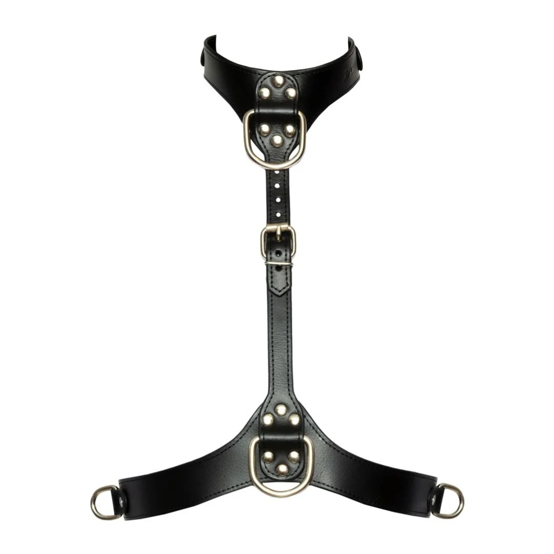 Brustharness in stilvoller Lederoptik