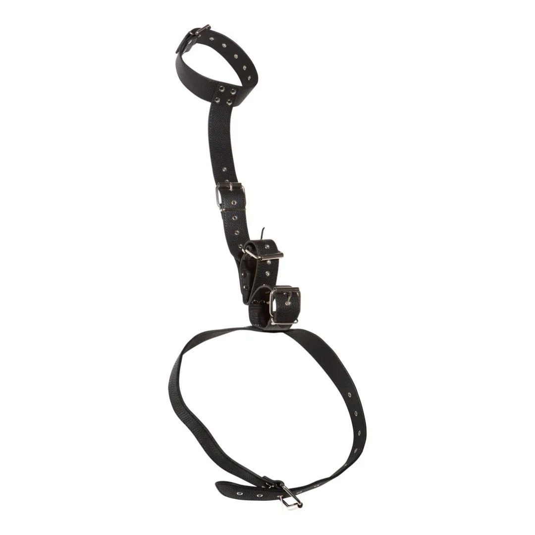 Hals-Handfessel mit Taillengurt
