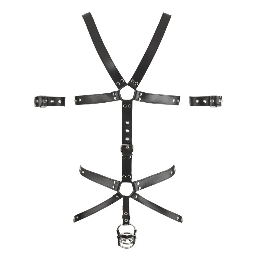 Leder-Harness mit 3 Penis-/Hodenringen