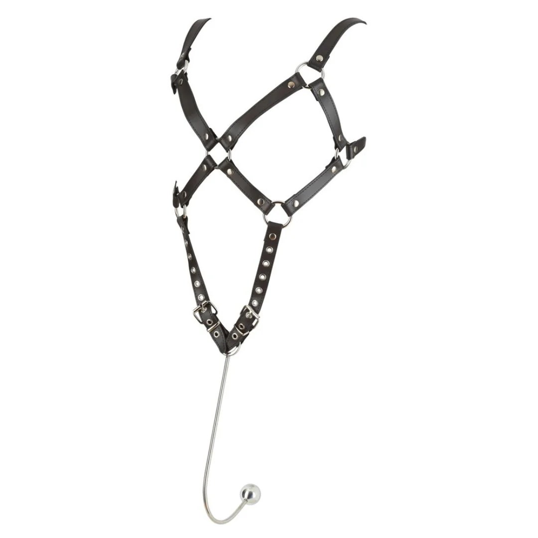 Harness aus Leder mit Edelstahl-Haken