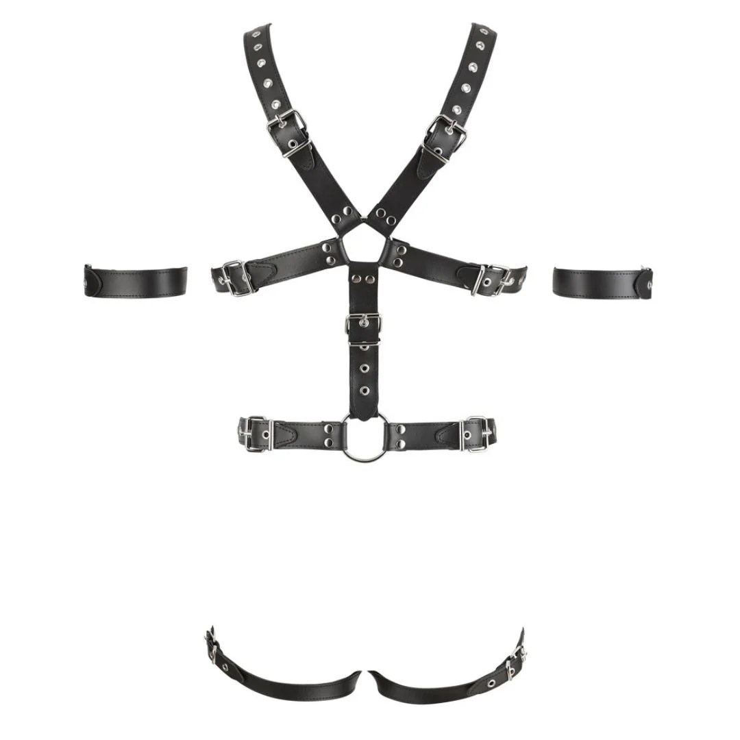 Leder-Harness mit 3 Penis-/Hodenringen