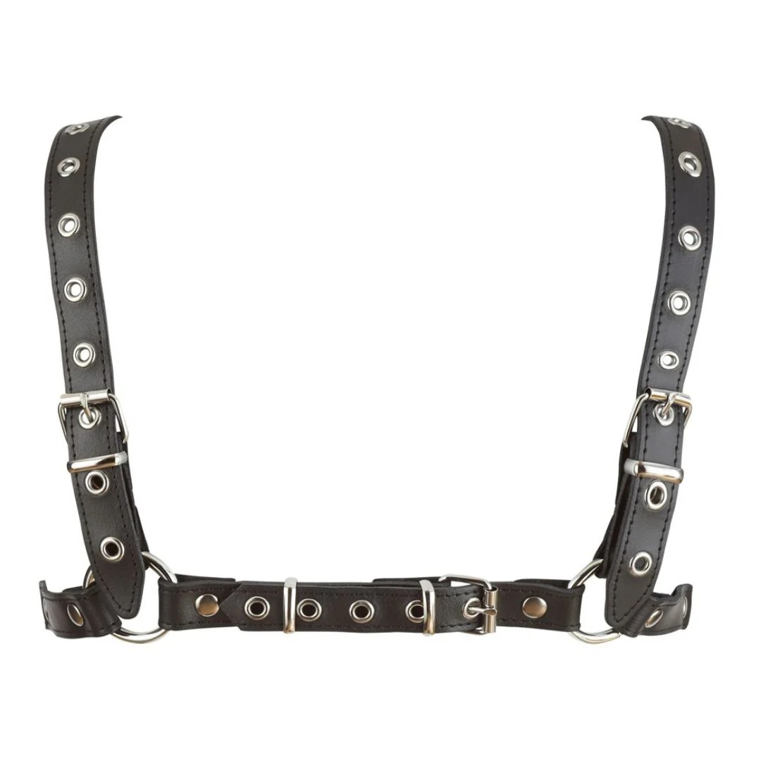 Harness aus Leder mit Edelstahl-Haken
