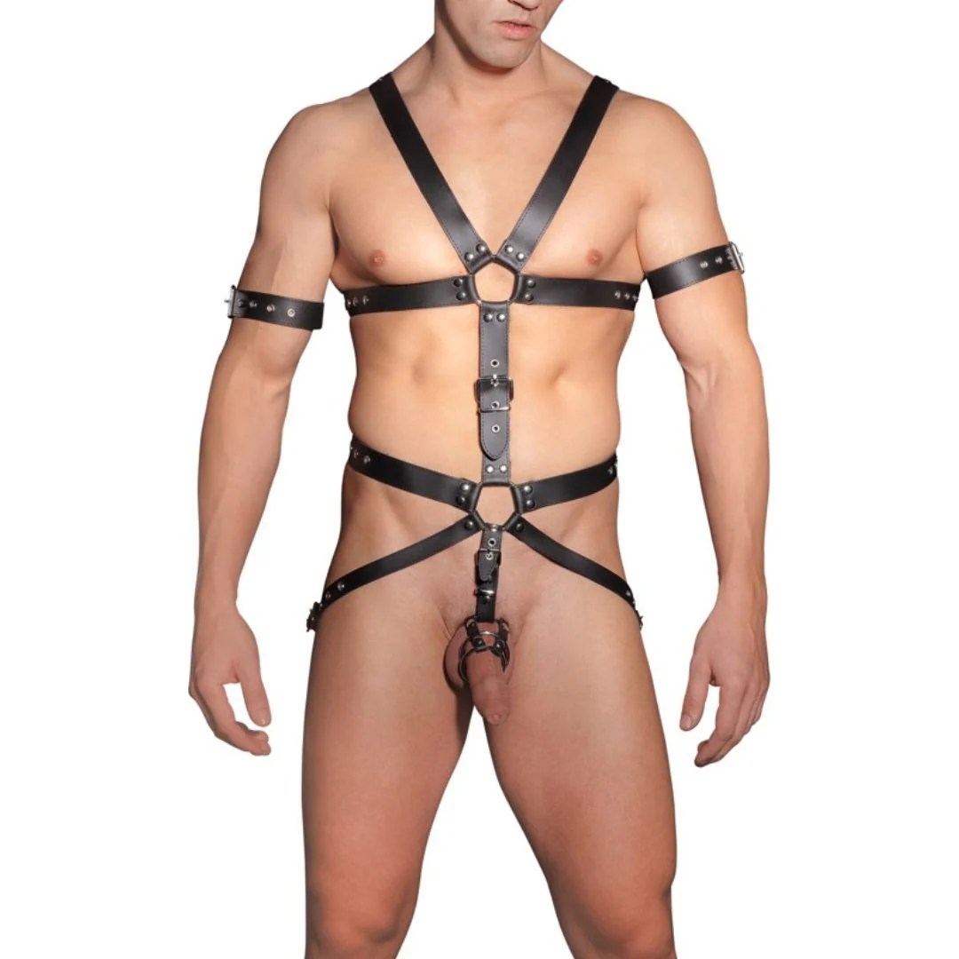 Leder-Harness mit 3 Penis-/Hodenringen