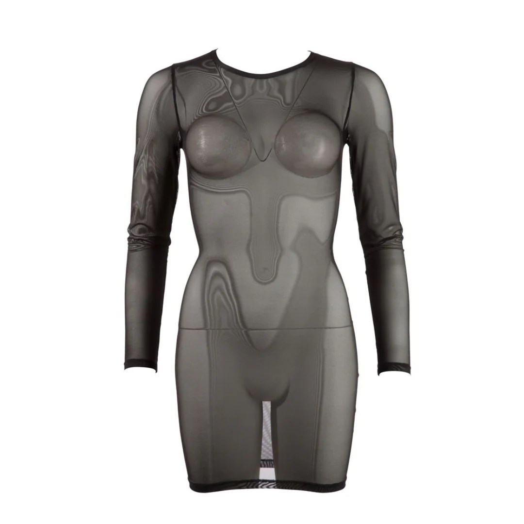 Transparentes Langarm-Kleid aus Powernet