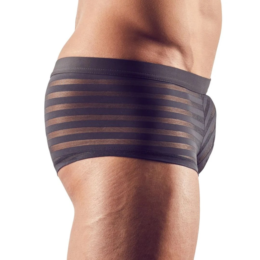 Semi-transparente Pants mit Streifen