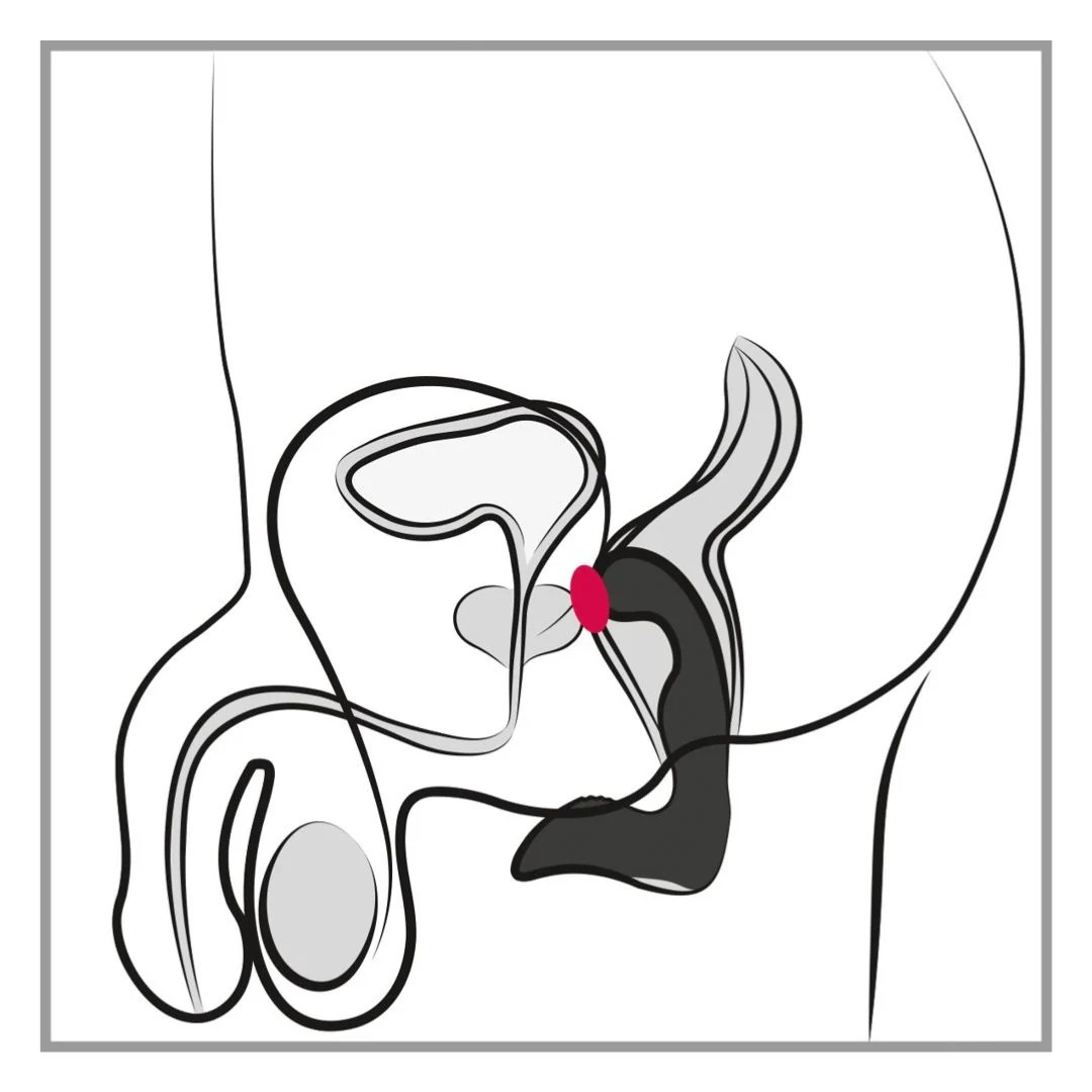 Prostatavibrator „Rechargeable Prostate Stimulator“