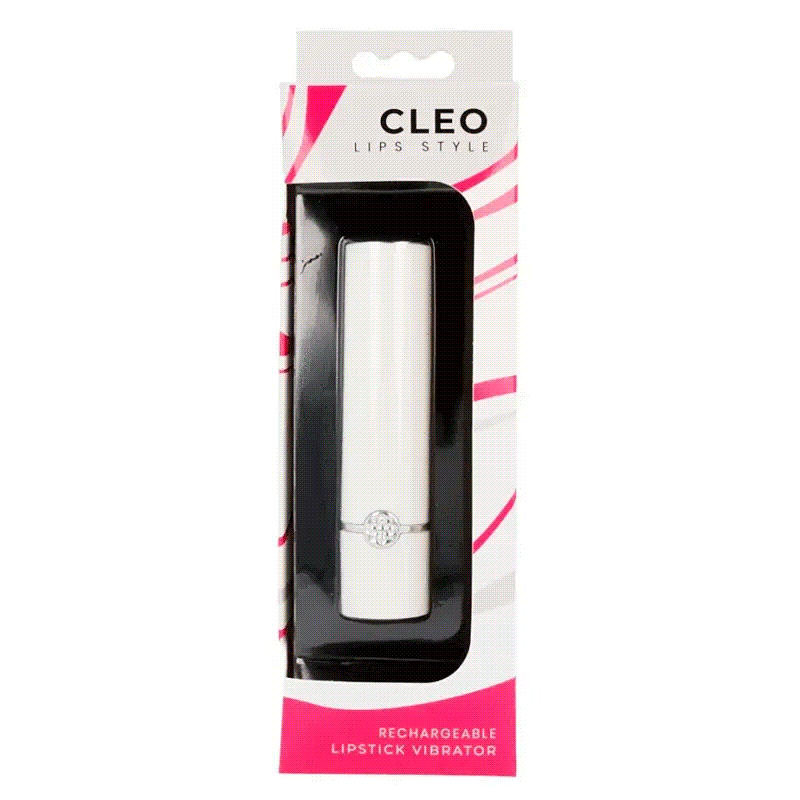 Minivibrator 