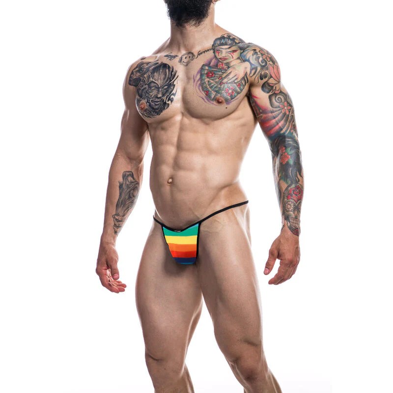 Herren Briefkini “Rainbow”