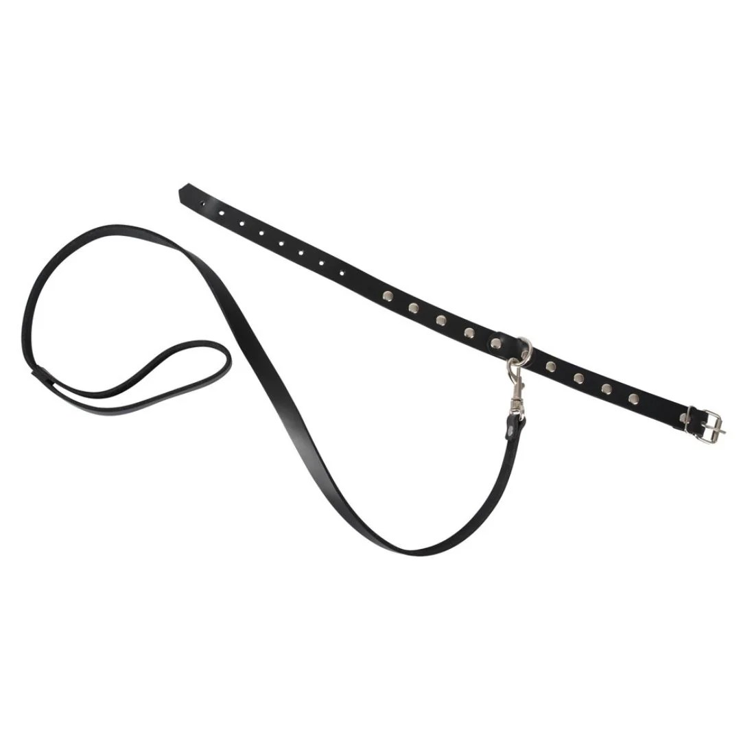 Leder-Halsfessel plus Leine, mit Nieten und D-Ring