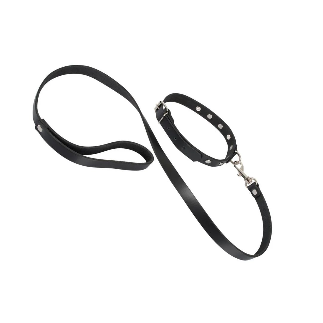 Leder-Halsfessel plus Leine, mit Nieten und D-Ring