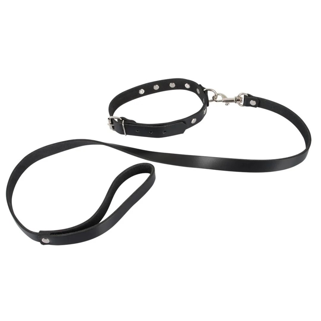 Leder-Halsfessel plus Leine, mit Nieten und D-Ring