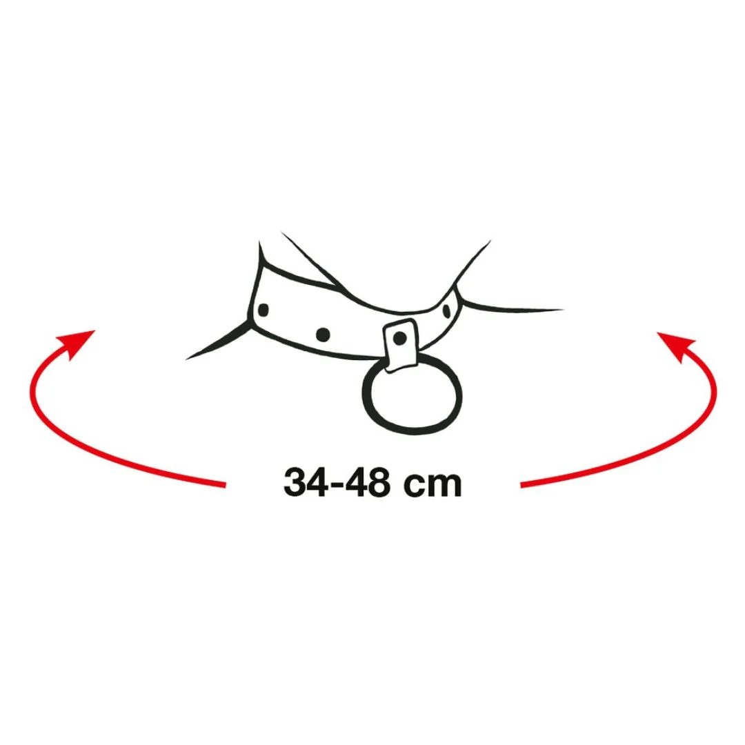 Fessel-Set für Hals, Oberarme, Hände und Füße