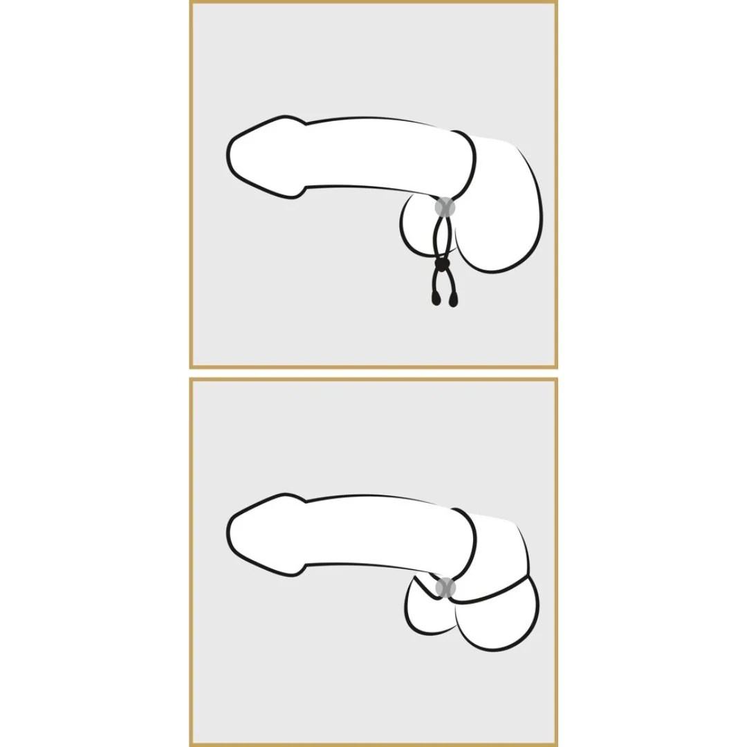 Penis-Hoden-Schlaufe „Cock & Ball Loop“