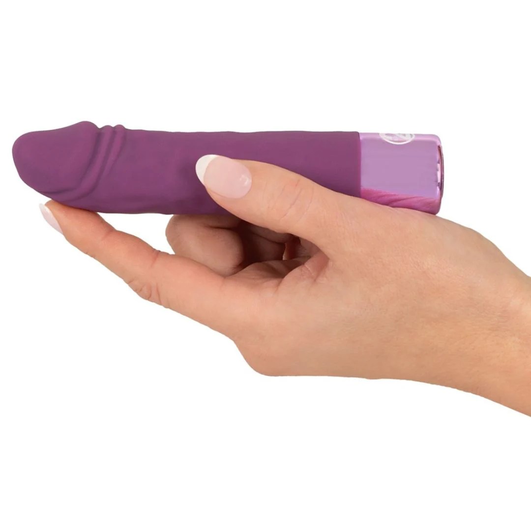 Minivibrator 