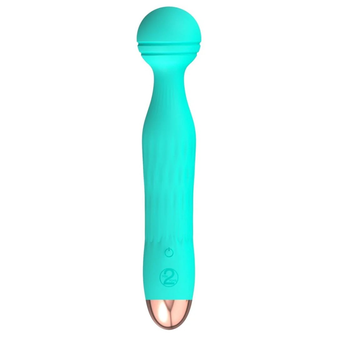 Vibrator mit Massagekopf 