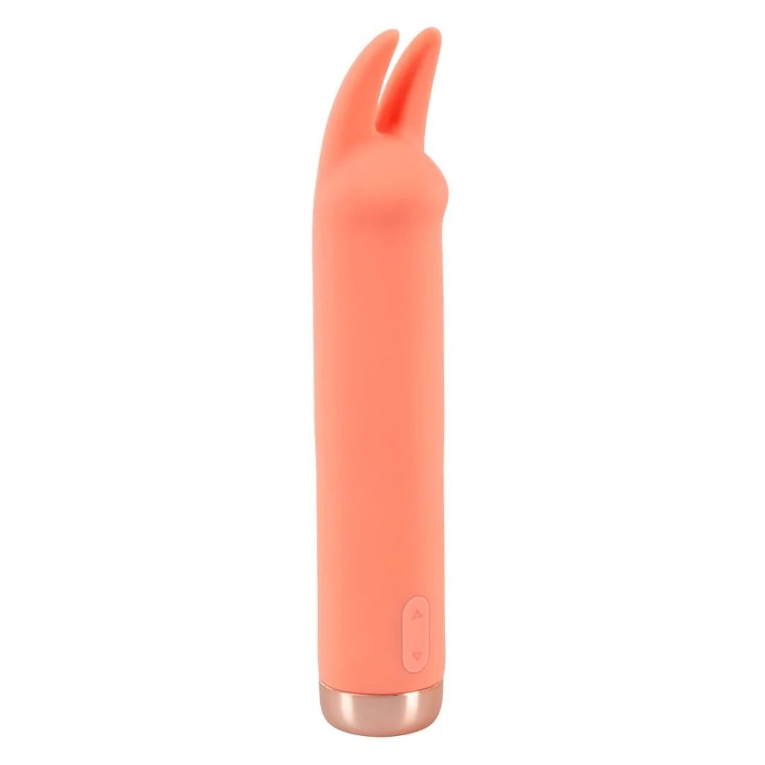 Minivibrator 