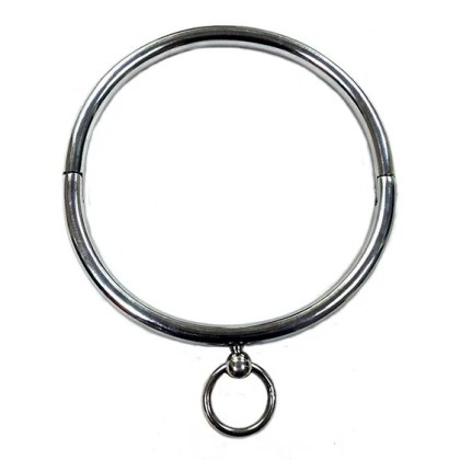 Stainless Steal Collar (with Case) Stainless Steal Collar (with Case)