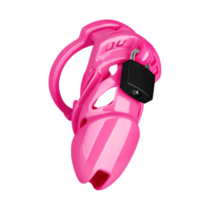 Chastity Standard Chastity Standard