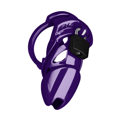 Chastity Standard Chastity Standard