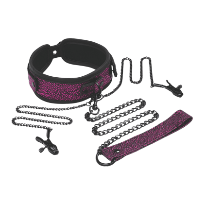 Collar, Leash & Nipple Clips Set Collar, Leash & Nipple Clips Set