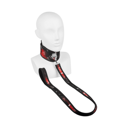 Breites Halsband mit Leine, 2 Teile Breites Halsband mit Leine, 2 Teile