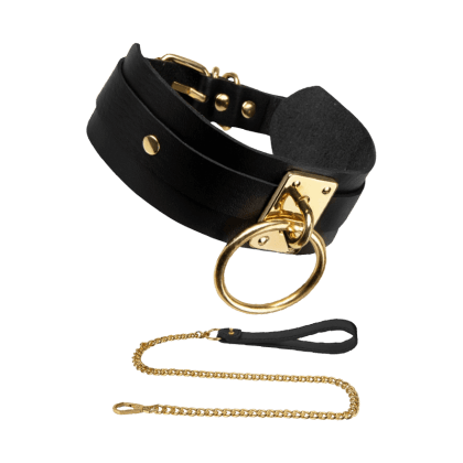 O-Ring Collar & Leash O-Ring Collar & Leash