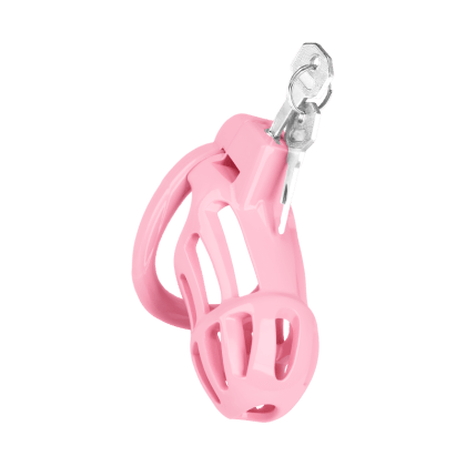 Keuschheitskäfig mit 5 Ringen, inkl. Schlüssel Keuschheitskäfig mit 5 Ringen, inkl. Schlüssel