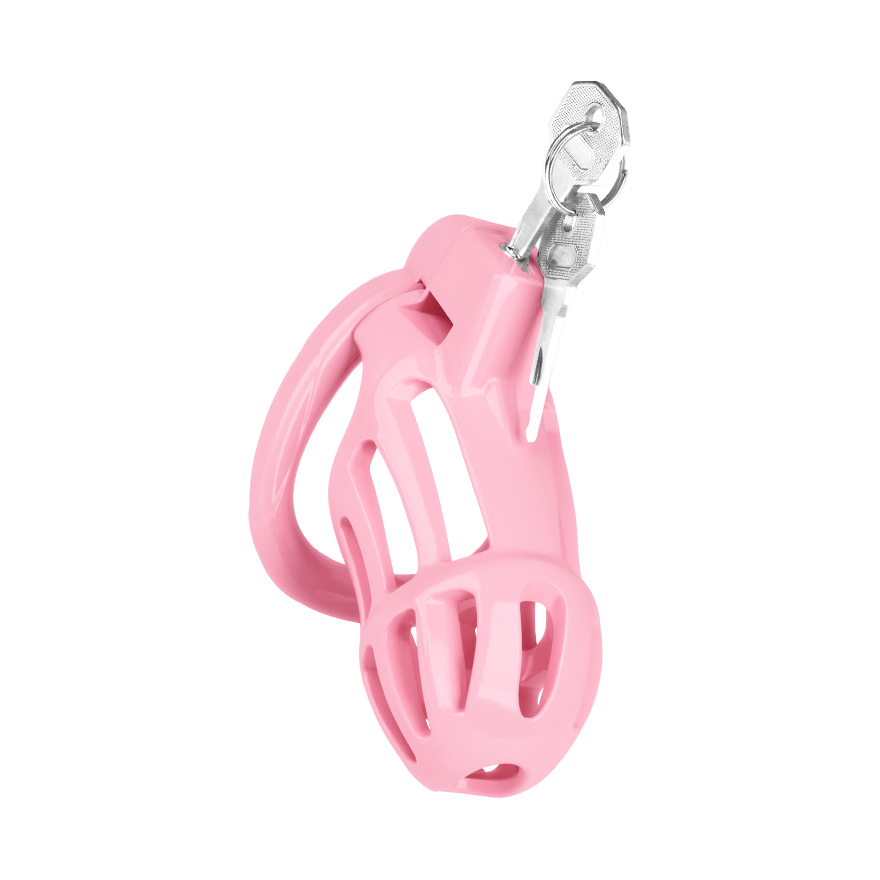 Keuschheitskäfig mit 5 Ringen, inkl. Schlüssel