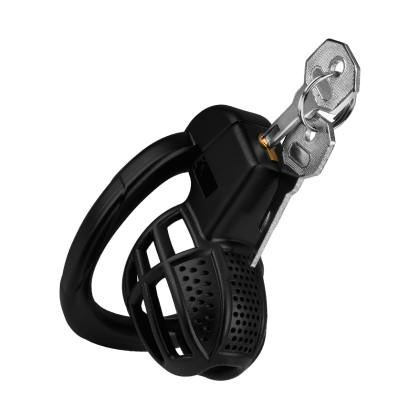 Keuschheitskäfig mit 4 Ringen, inkl. Schlüssel Keuschheitskäfig mit 4 Ringen, inkl. Schlüssel