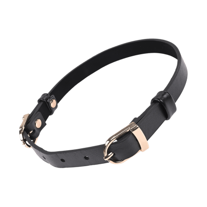 Sex and Mischief - Double Buckle Day Collar Sex and Mischief - Double Buckle Day Collar