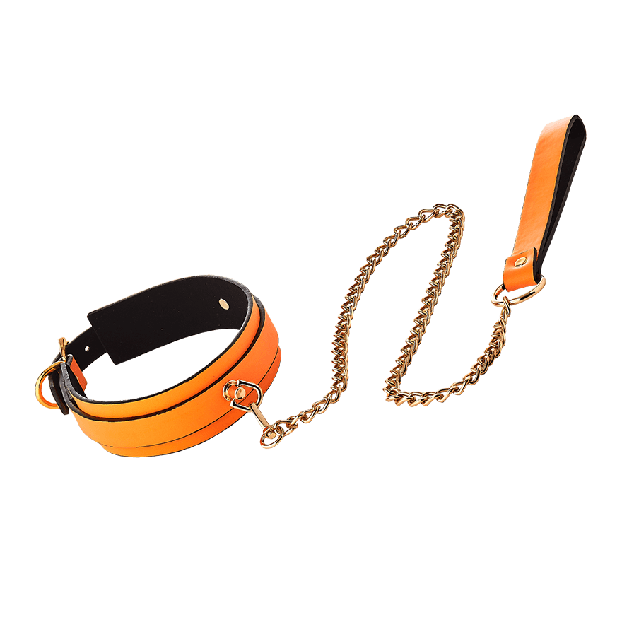 Radiant - Collar and Leash