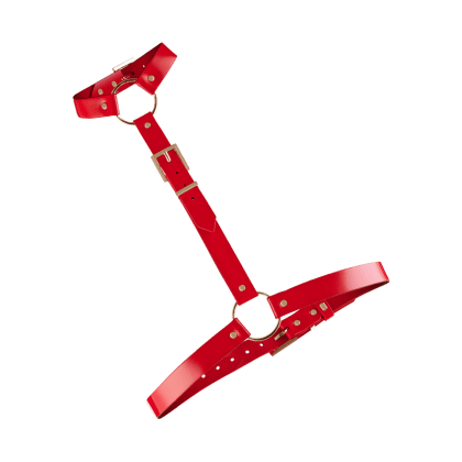 High Gloss Fashion Body Harness High Gloss Fashion Body Harness