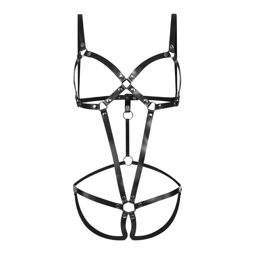 Sexy Leder-Geschirr