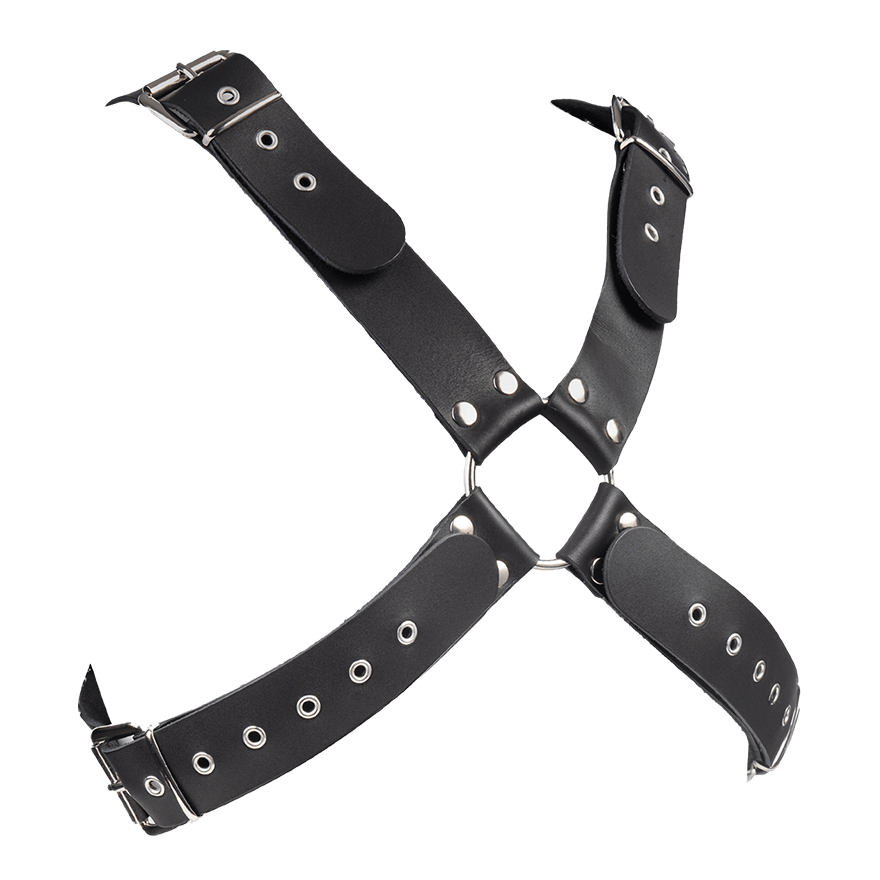 Verstellbares Ledergeschirr