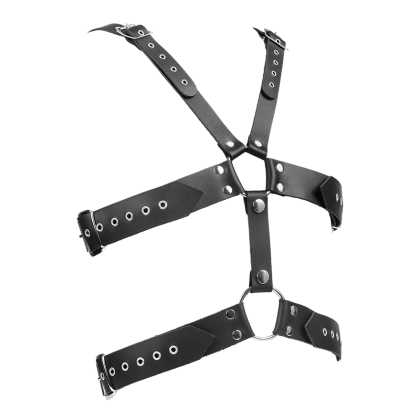 Ledergeschirr mit Schnallen Ledergeschirr mit Schnallen