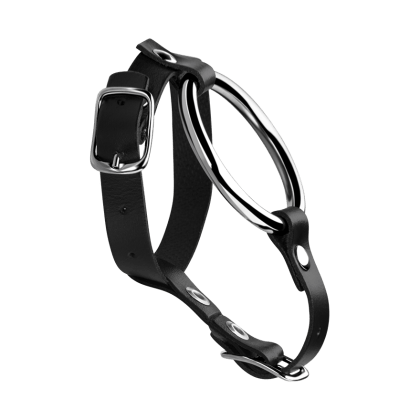 Penis-Hoden-Gurt mit Ring, 4 cm Penis-Hoden-Gurt mit Ring, 4 cm